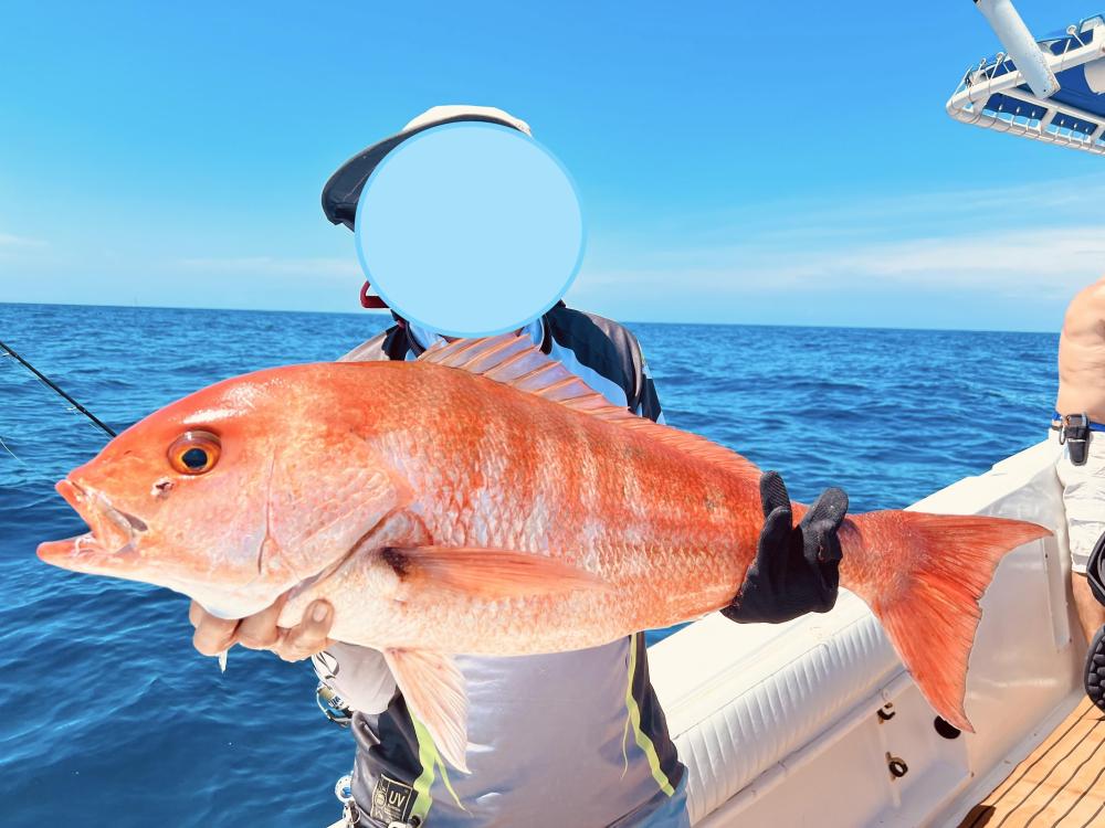 IMG_026251 (Conflicto de mayúsculas y minúsculas).jpg