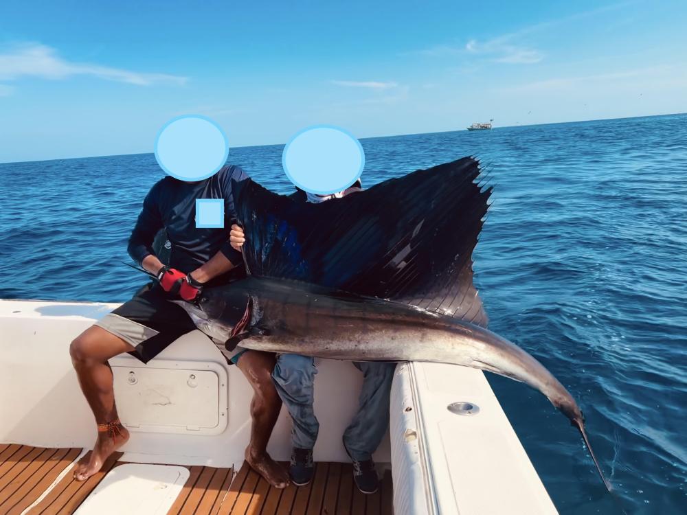 IMG_026279 (Conflicto de mayúsculas y minúsculas).jpg