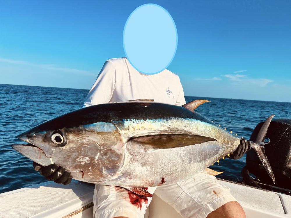 IMG_026303 (Conflicto de mayúsculas y minúsculas).jpg