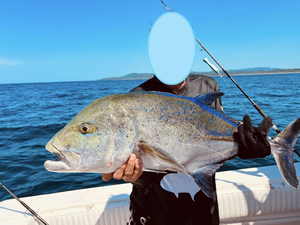 IMG_026347 (Conflicto de mayúsculas y minúsculas).jpg