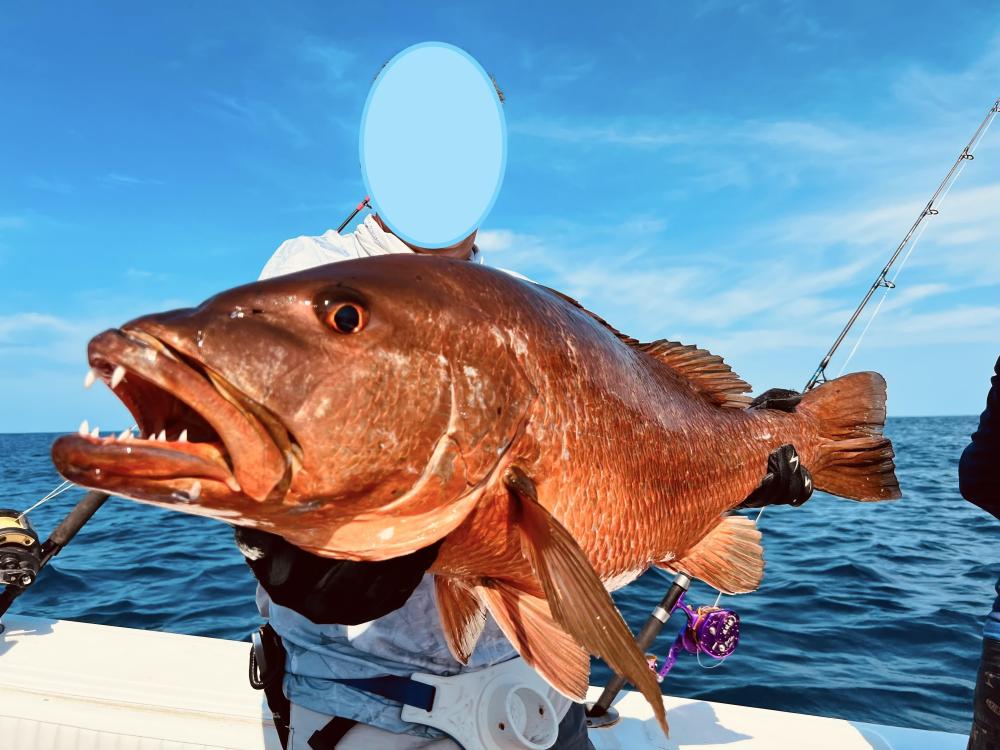 IMG_026395 (Conflicto de mayúsculas y minúsculas).jpg