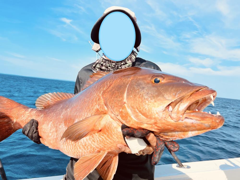 IMG_026417 (Conflicto de mayúsculas y minúsculas).jpg