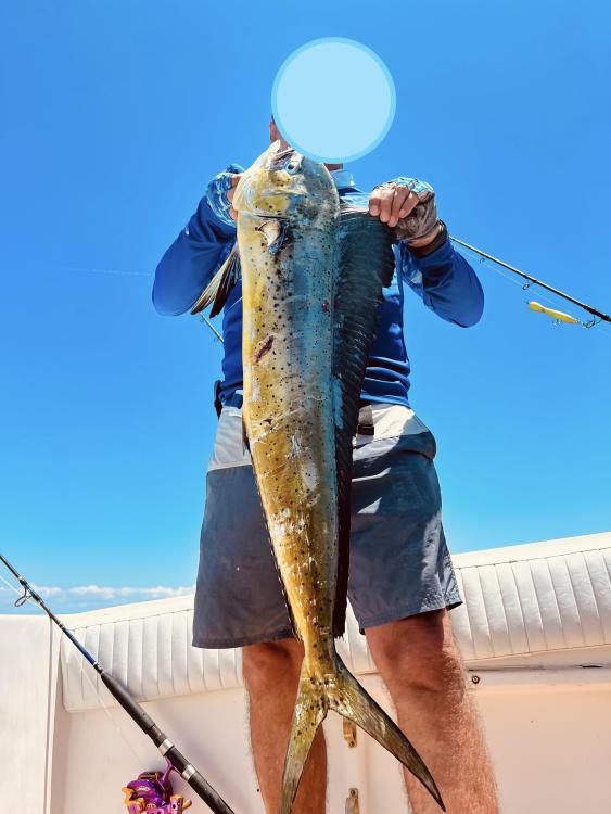 IMG_026568 (Conflicto de mayúsculas y minúsculas).jpg