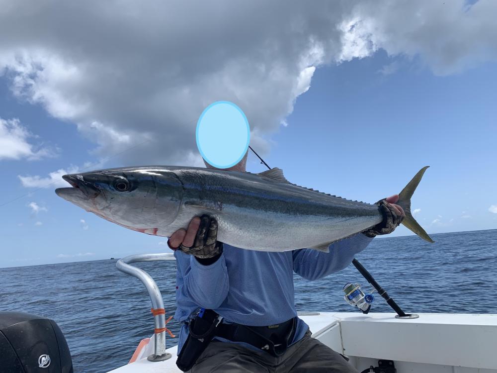 IMG_026636 (Conflicto de mayúsculas y minúsculas).jpg