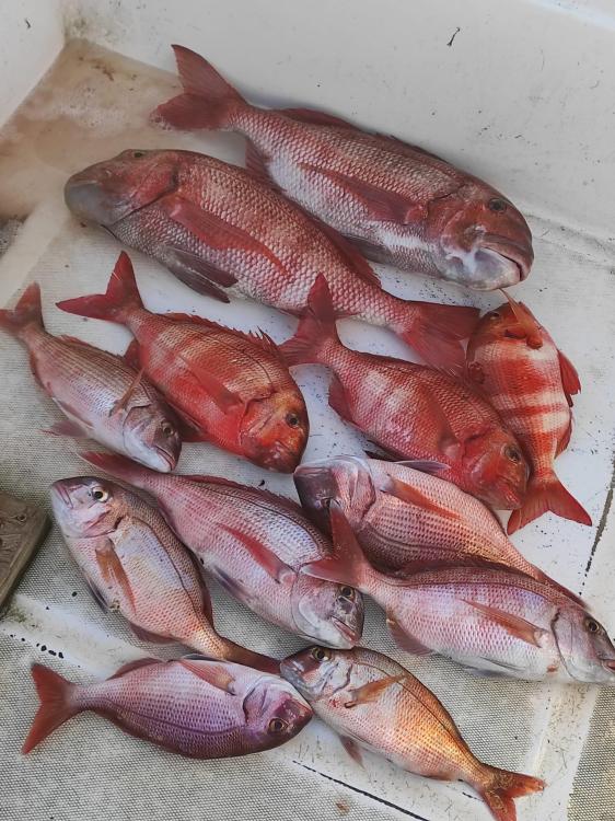 WhatsApp Image 2023-09-17 at 23.13.18.jpeg