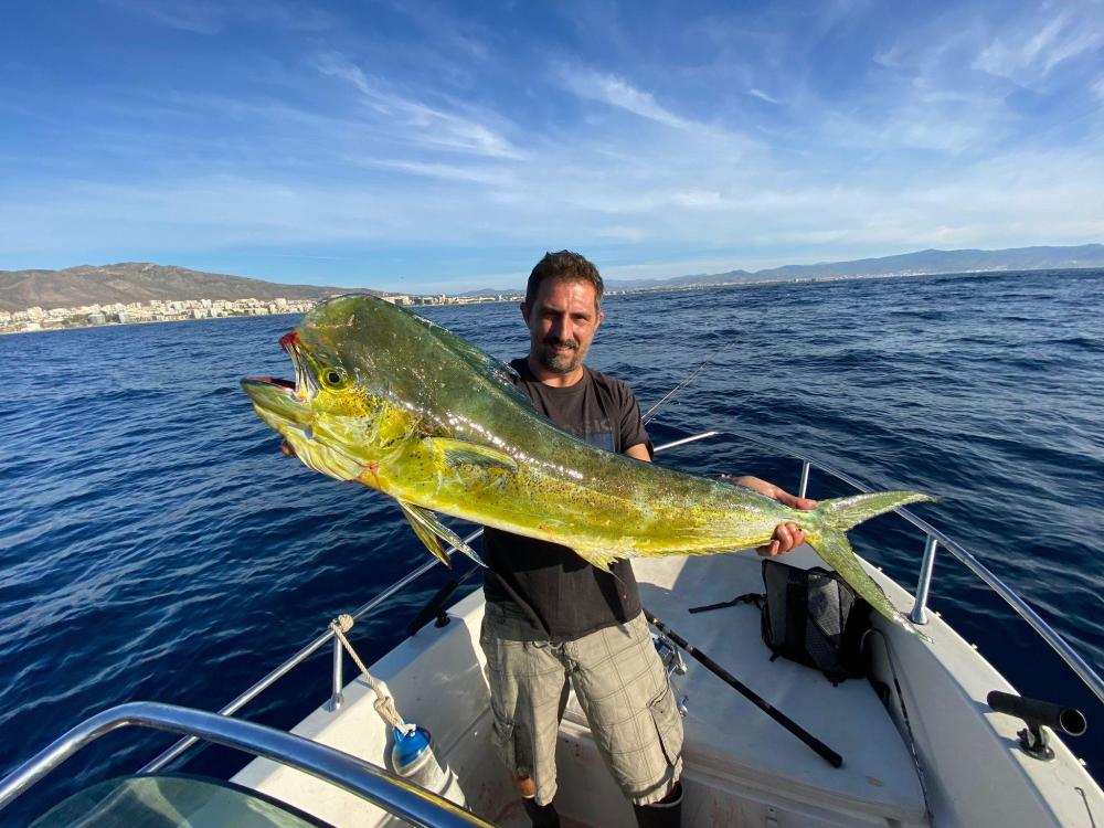 WhatsApp Image 2023-09-21 at 10.36.09.jpeg