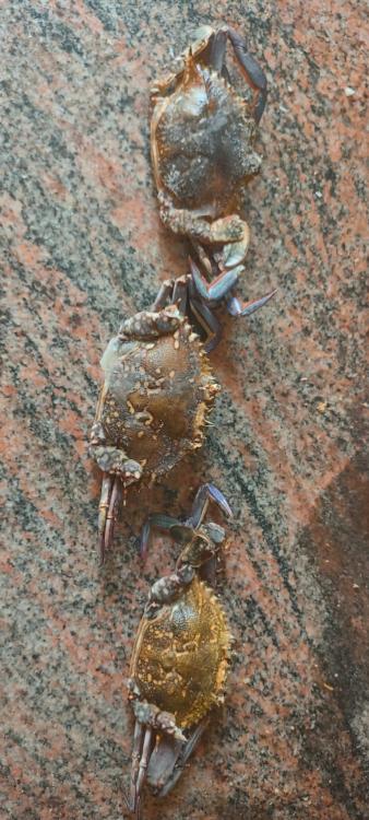 WhatsApp Image 2023-09-22 at 13.02.11.jpeg