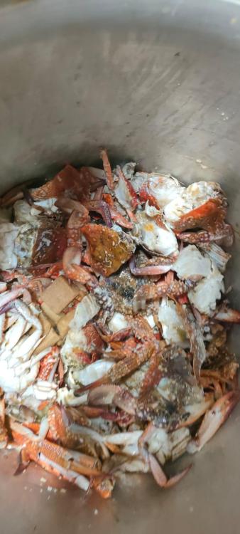 WhatsApp Image 2023-09-22 at 21.06.02.jpeg