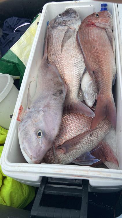 WhatsApp Image 2023-09-17 at 23.11.47.jpeg