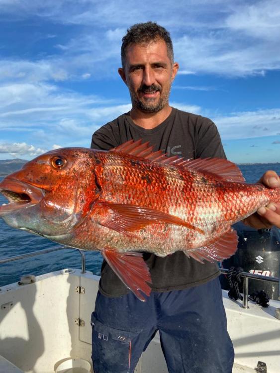 WhatsApp Image 2023-10-24 at 22.40.04.jpeg