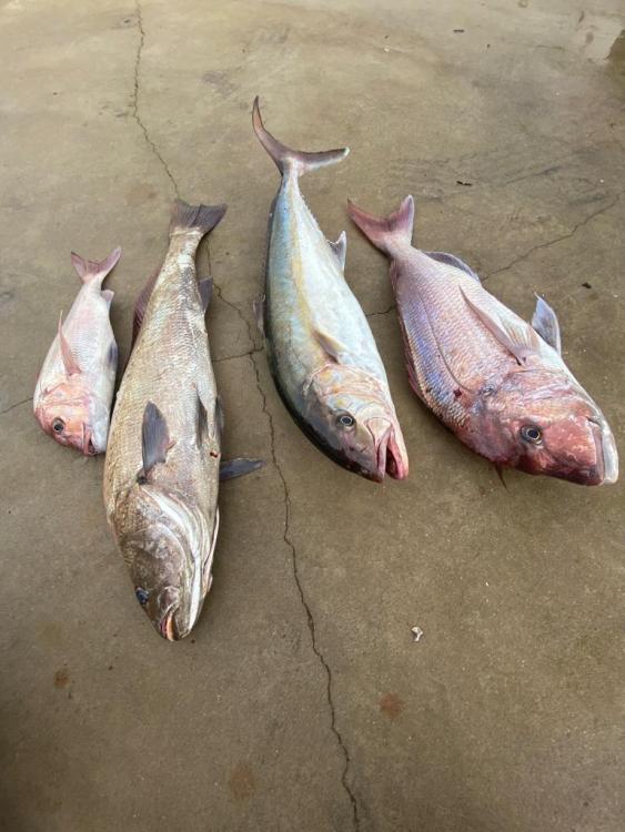 WhatsApp Image 2023-11-27 at 19.36.38.jpeg