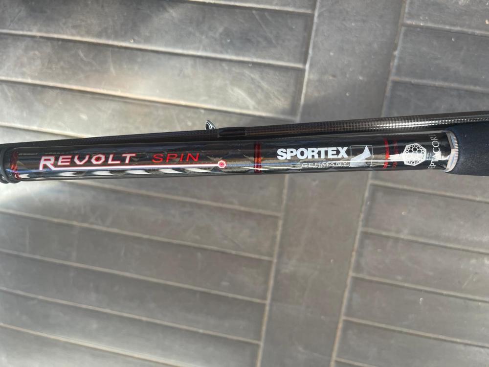 PHOTO-2024-08-19-18-52-42 5.jpg