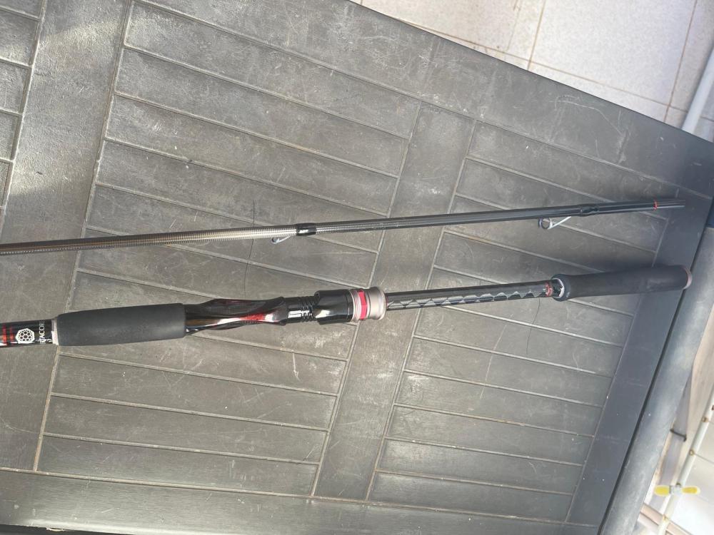 PHOTO-2024-08-19-18-52-42 7.jpg