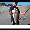 Valenciano_Surfcasting