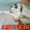 amunt30